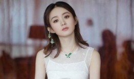 中餐厅赵丽颖最新爆料,揭秘中餐厅幕后故事与精彩瞬间