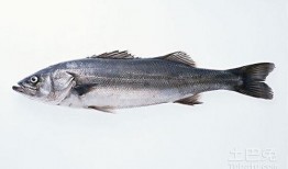 鳕鱼最新爆料图片高清,揭秘海洋美食的绝美瞬间