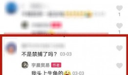 抓鱼视频爆料大全最新,揭秘水下奇观与神秘生物