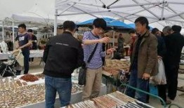 阿拉善展会爆料最新消息,前沿科技与绿色未来精彩纷呈