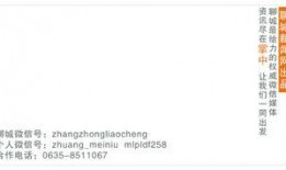 聊城爆料头条最新,揭秘本地热点事件，追踪最新动态