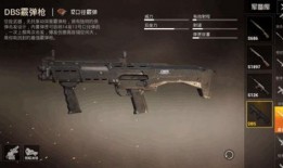 和平精英dbs最新爆料,神秘角色即将登场，游戏玩法再升级