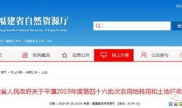 福建爆料最新消息今天,揭秘今日热点事件背后的真相